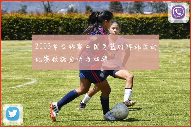 2003年亚锦赛中国男篮对阵韩国的比赛数据分析与回顾