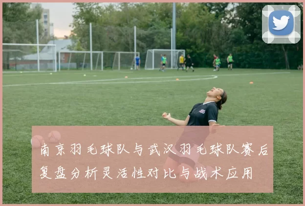 南京羽毛球队与武汉羽毛球队赛后复盘分析灵活性对比与战术应用