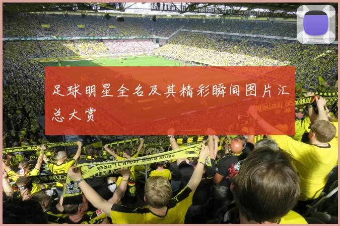 足球明星全名及其精彩瞬间图片汇总大赏