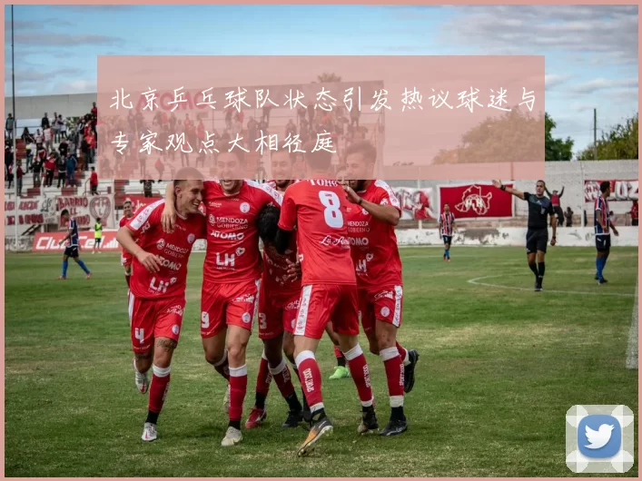 北京乒乓球队状态引发热议球迷与专家观点大相径庭