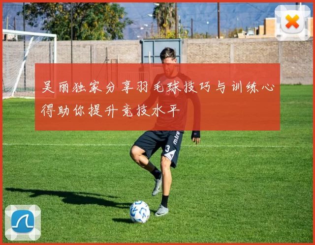 吴丽独家分享羽毛球技巧与训练心得助你提升竞技水平