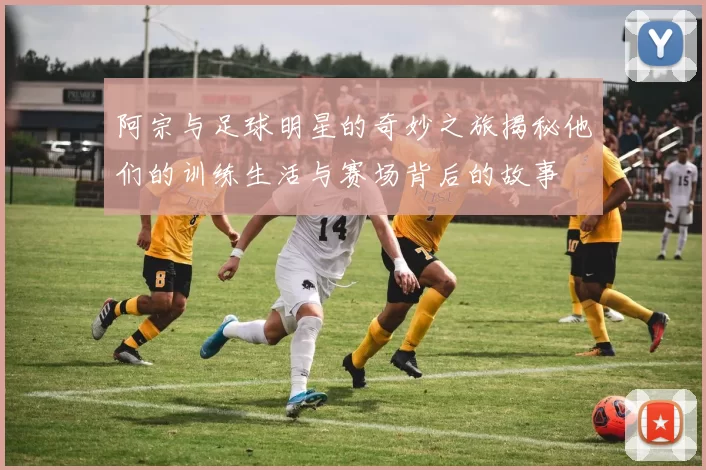 阿宗与足球明星的奇妙之旅揭秘他们的训练生活与赛场背后的故事