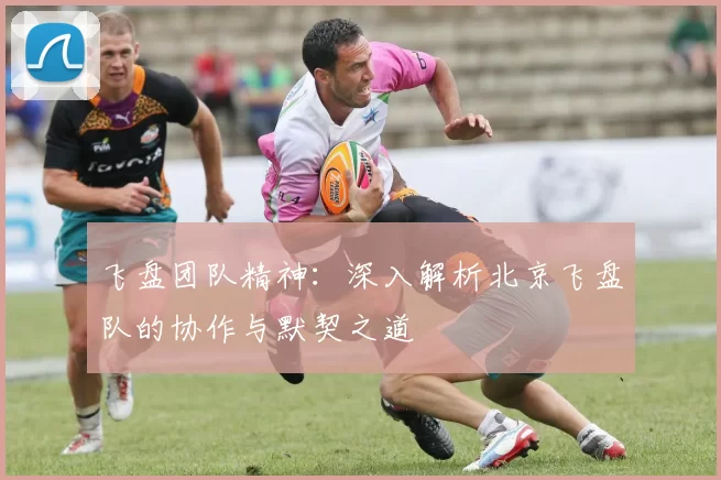 飞盘团队精神：深入解析北京飞盘队的协作与默契之道