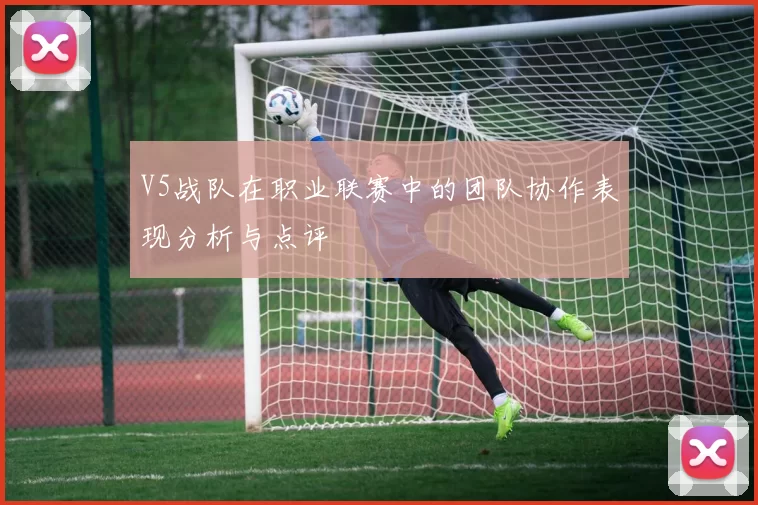 V5战队在职业联赛中的团队协作表现分析与点评