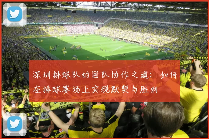 深圳排球队的团队协作之道：如何在排球赛场上实现默契与胜利