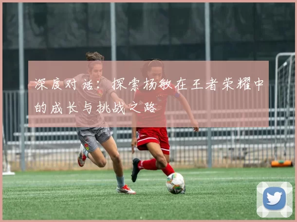 深度对话：探索杨敏在王者荣耀中的成长与挑战之路