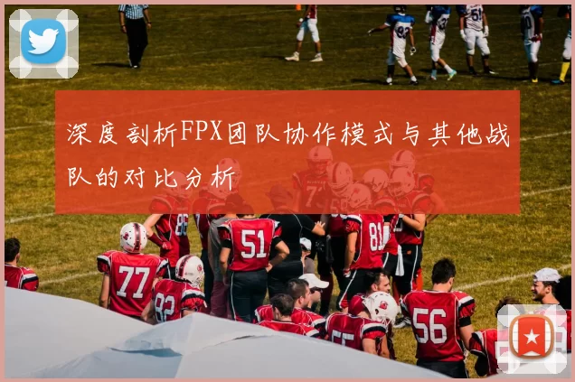 深度剖析FPX团队协作模式与其他战队的对比分析