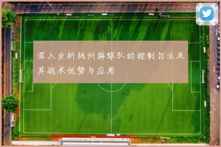 深入分析杭州排球队的控制打法及其战术优势与应用