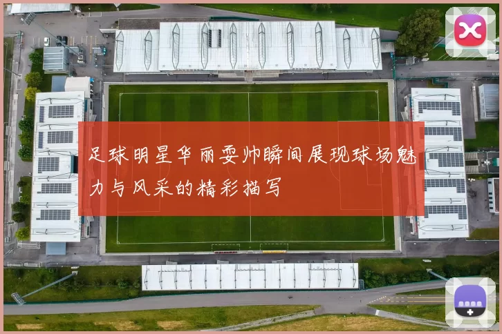 足球明星华丽耍帅瞬间展现球场魅力与风采的精彩描写