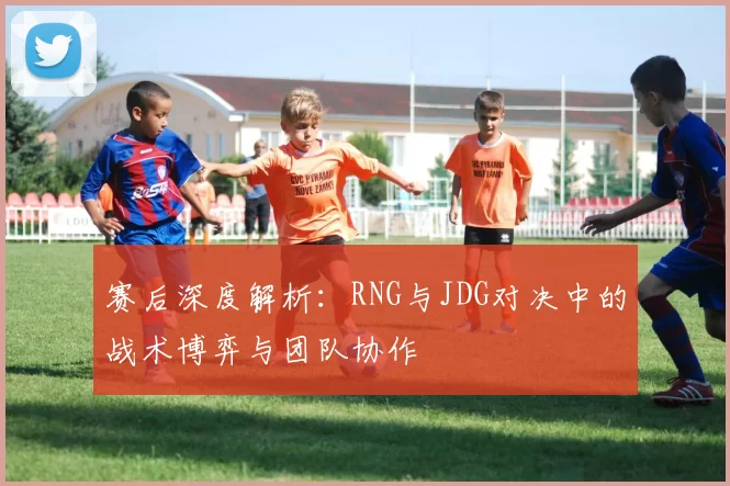 赛后深度解析：RNG与JDG对决中的战术博弈与团队协作
