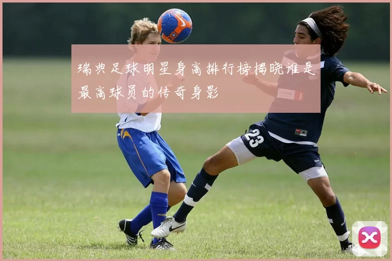 瑞典足球明星身高排行榜揭晓谁是最高球员的传奇身影
