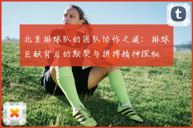 北京排球队的团队协作之道：排球巨献背后的默契与拼搏精神探秘