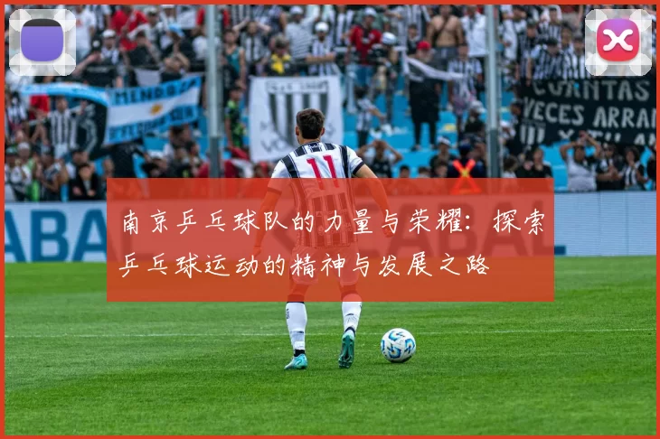 南京乒乓球队的力量与荣耀：探索乒乓球运动的精神与发展之路