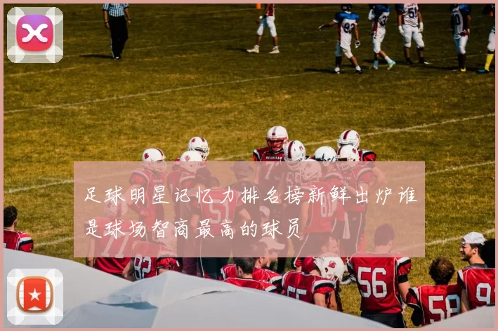 足球明星记忆力排名榜新鲜出炉谁是球场智商最高的球员