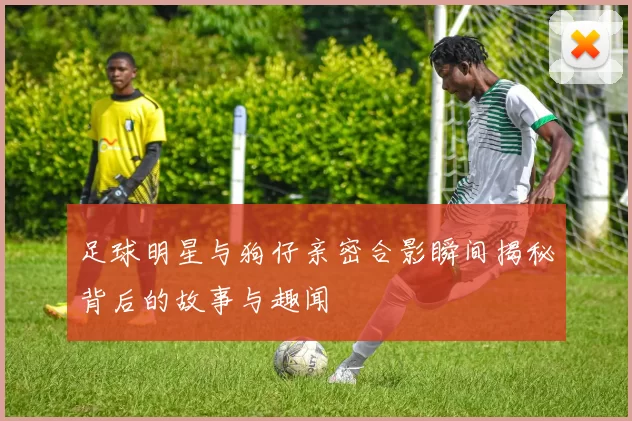 足球明星与狗仔亲密合影瞬间揭秘背后的故事与趣闻