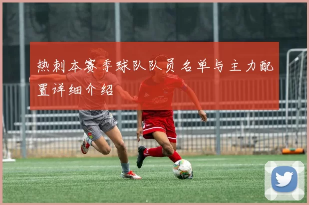 热刺本赛季球队队员名单与主力配置详细介绍